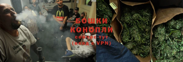 ГАЛЛЮЦИНОГЕННЫЕ ГРИБЫ Баксан