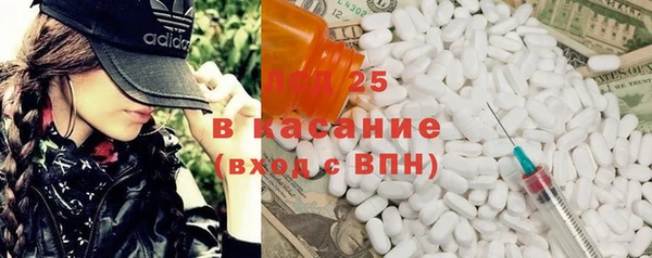 ГАЛЛЮЦИНОГЕННЫЕ ГРИБЫ Баксан