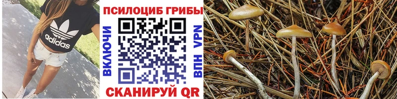 Псилоцибиновые грибы мухоморы  Теберда 
